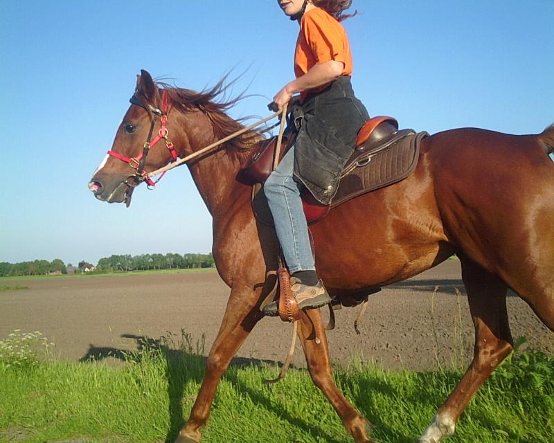 Waar heb ik Erika's hoofd gelaten?