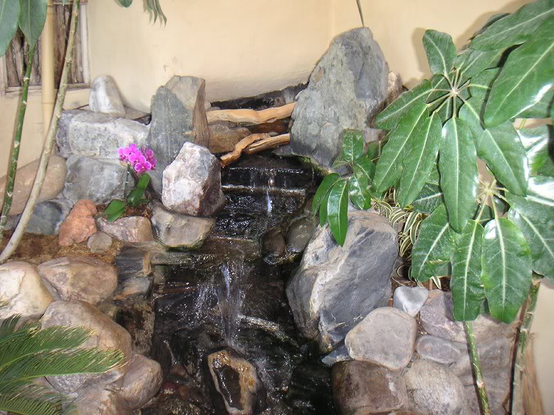 cascada de la salonul japonez