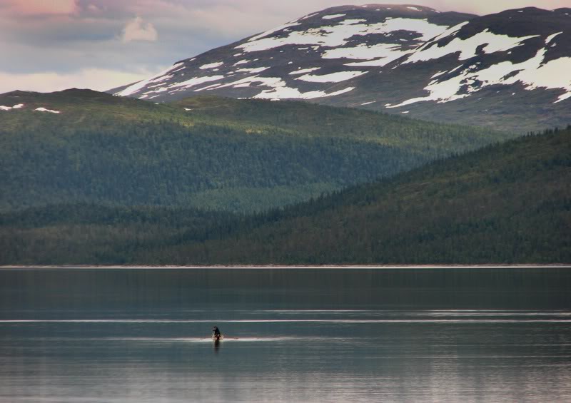 Net fisherman - Stora Blasjon