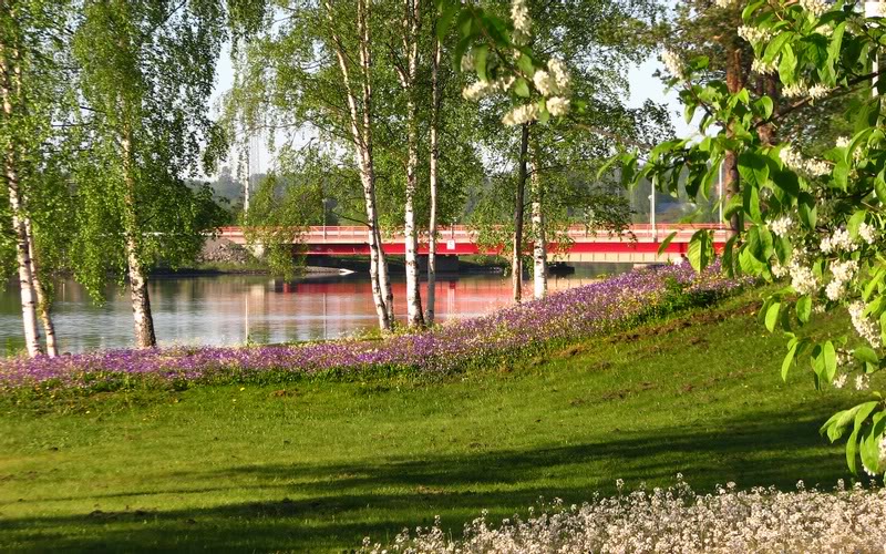 Summer colours Krokom