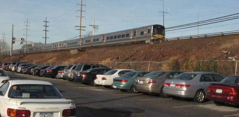 LIRR Wantagh tree removal