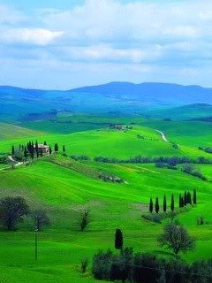 109_123381_wghp mkxxov8x