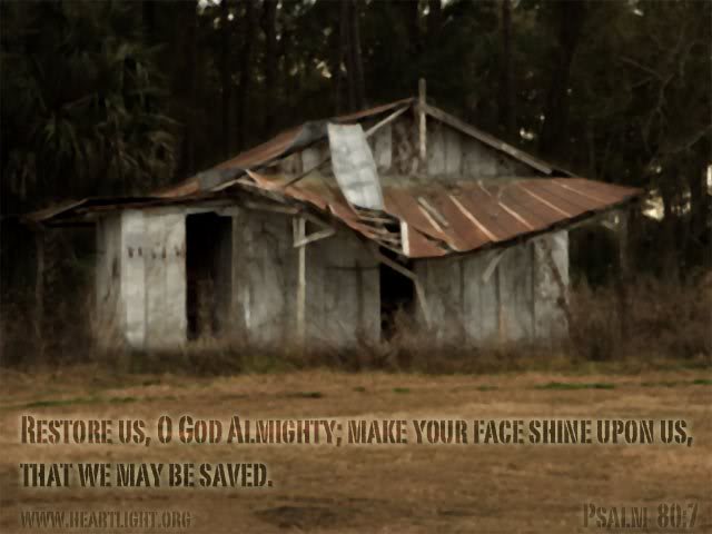 Can Anything This Far Gone Be Saved?