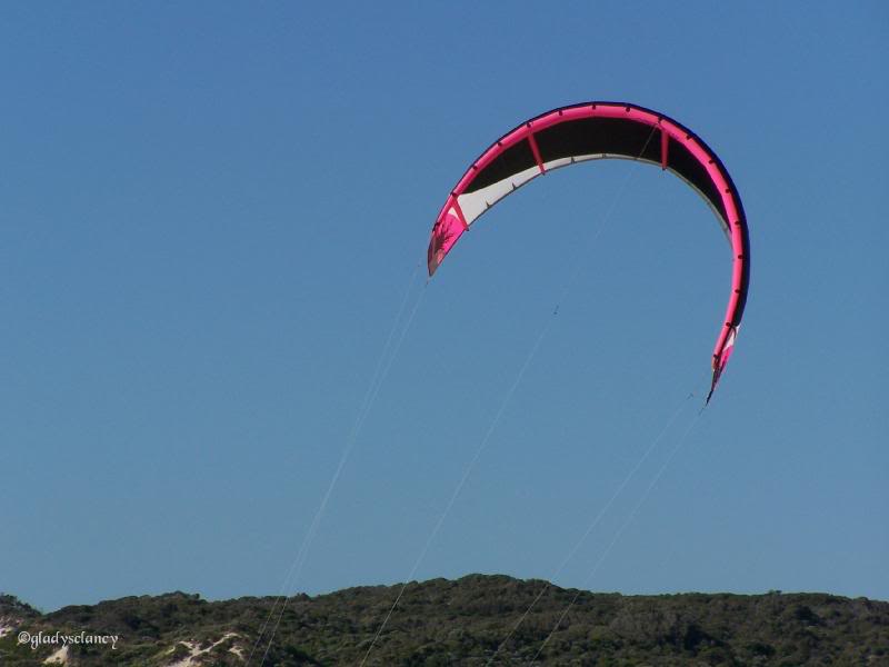 The Kite