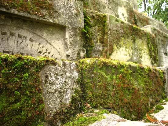 makow Mazowiecki Jewish3