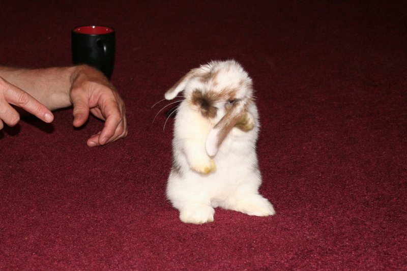 full cuteness overload