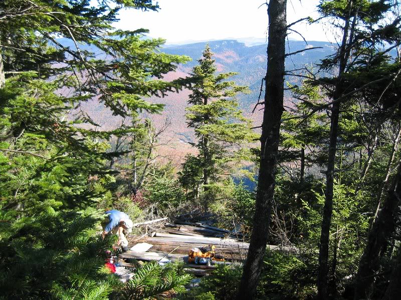 Collapsed Fire Tower