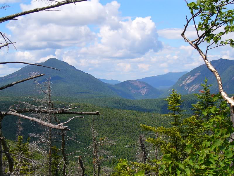 LookingNorth Up CrawfordNotch