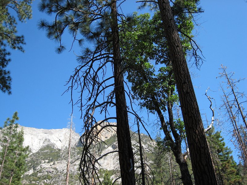 sphinx lakes backpacking 013