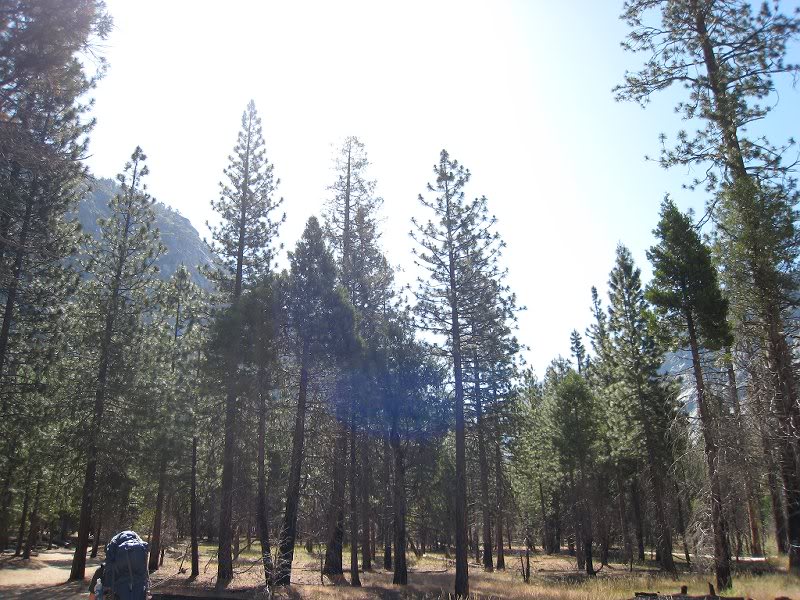 sphinx lakes backpacking 014