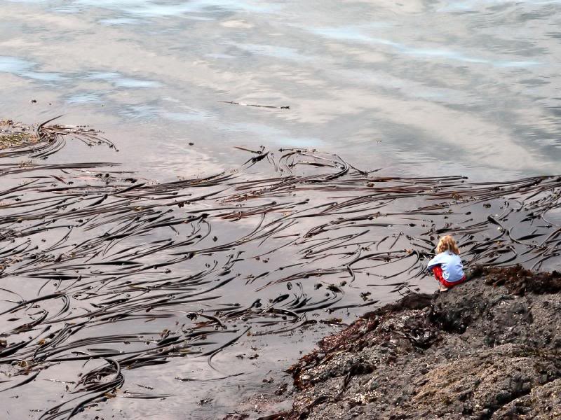 Kelp and Child