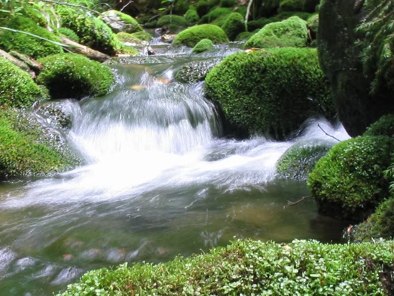 My one artistic shot