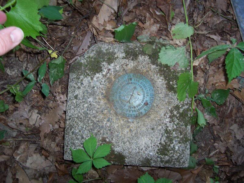 Bench Mark