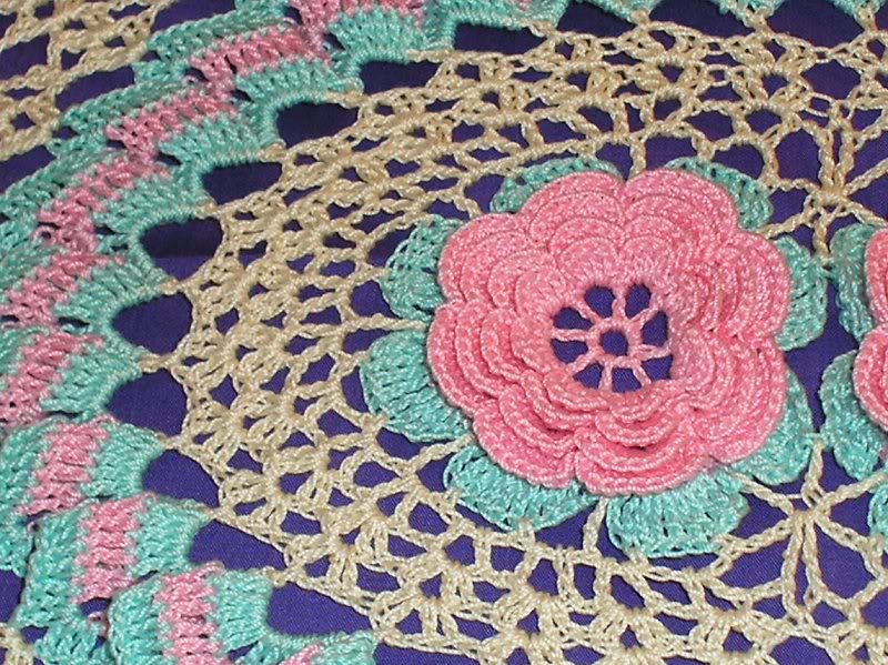 rose delight close up rose