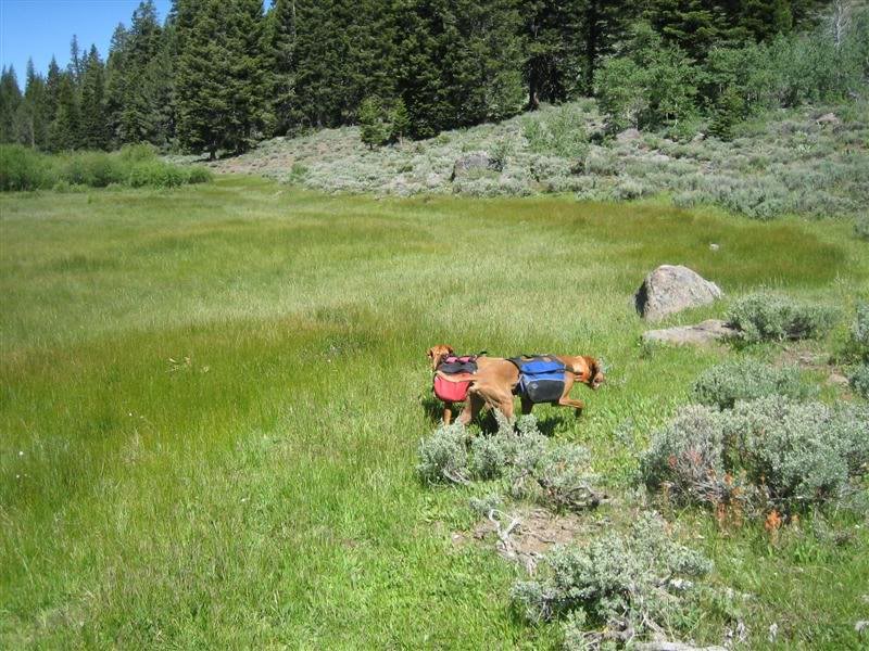 Back to the trail on Day 2