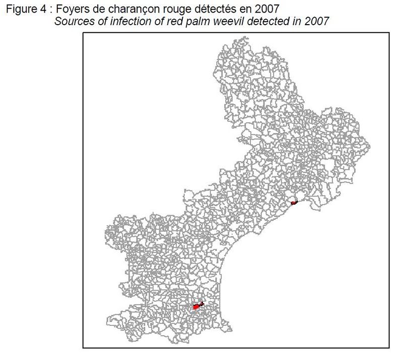 CRP - Foyers d��tect��s en 2007