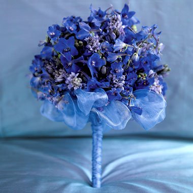 blue delphinium, scilia, hyacinth