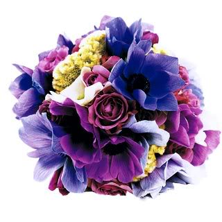 blue purple fuschia anemones, roses