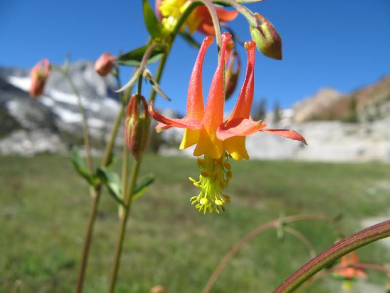 the wind was blowing and made these hard to shoot