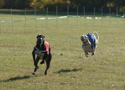 Mars wins at LGRA Nationals '06