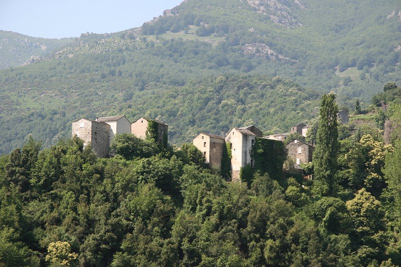 Castagniccia, Corse