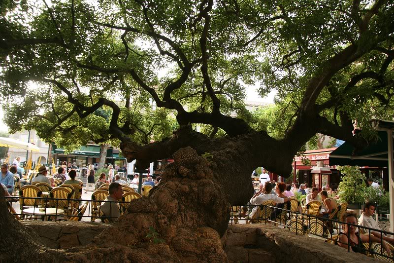 Porto Vecchio, Corse