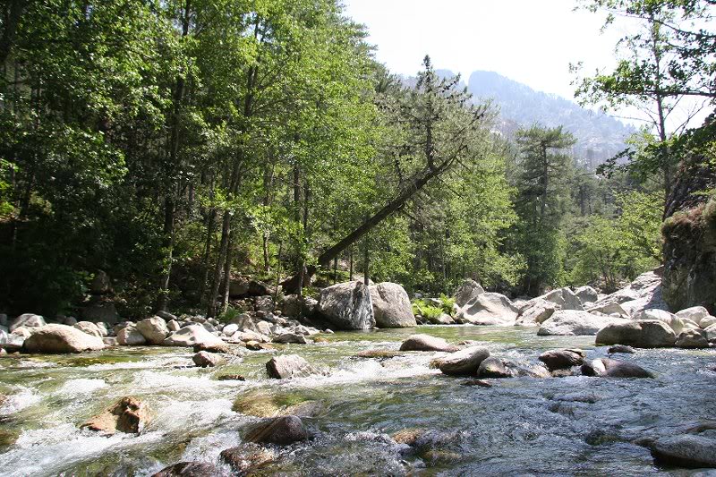 Restonica valley, Corse