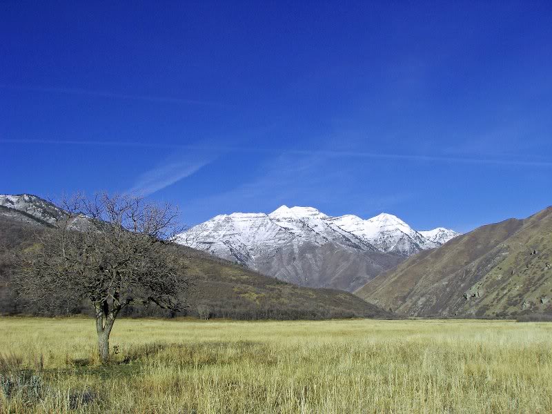 High Country 11/17/08