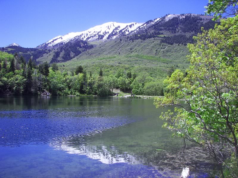 Maple Lake, Wasatch Mtns., Utah 7/28/08