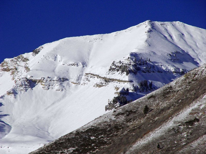 Snow Fields 11/17/08