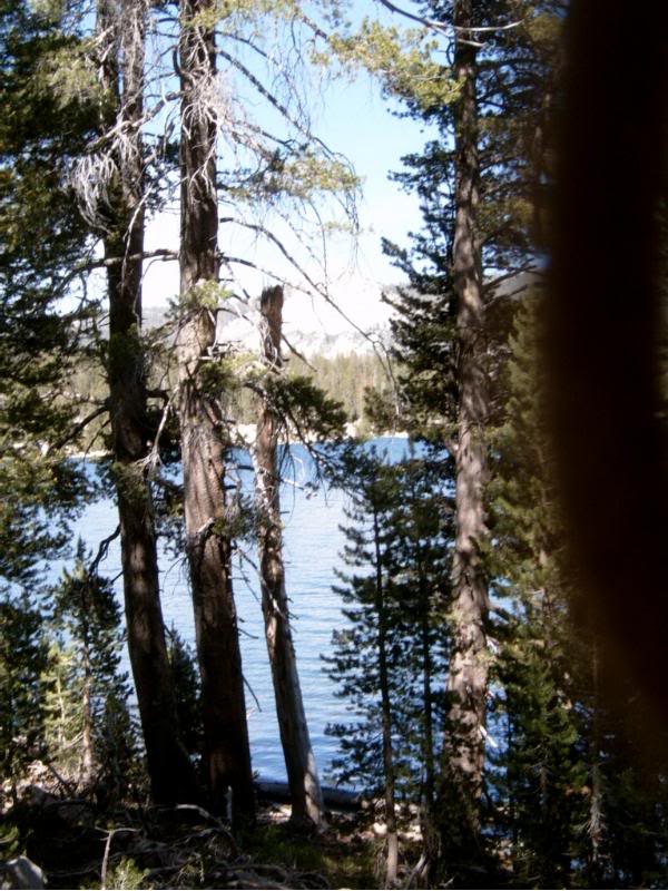 Courtwright Resevoir thrugh the trees