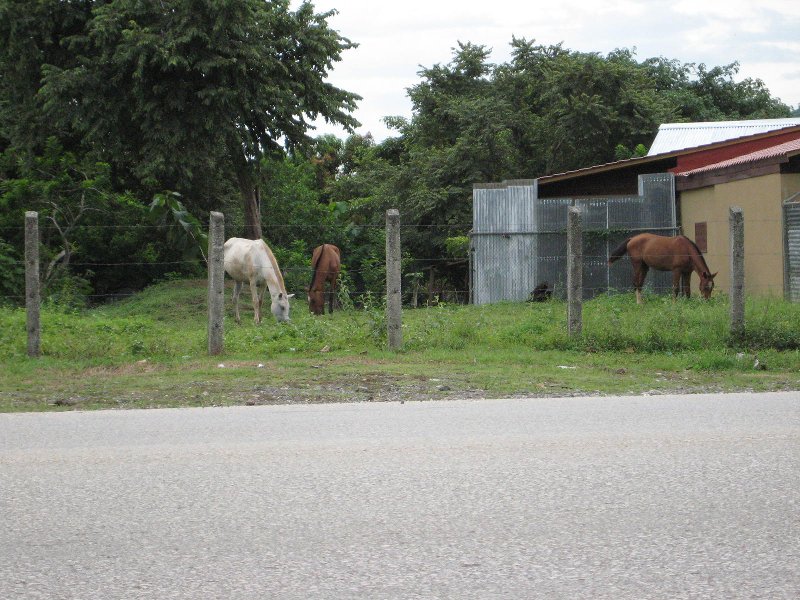 20070718-santa- cruz (5)