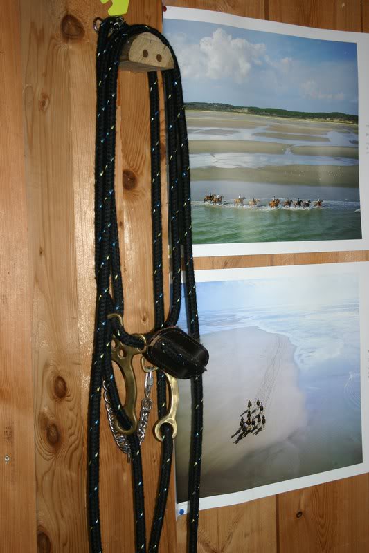 Simple rope hackamore