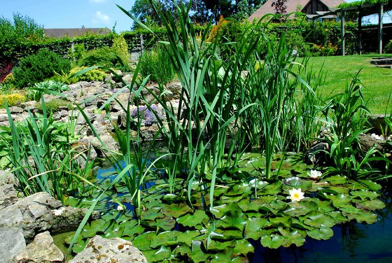 two_months_afte r_ei