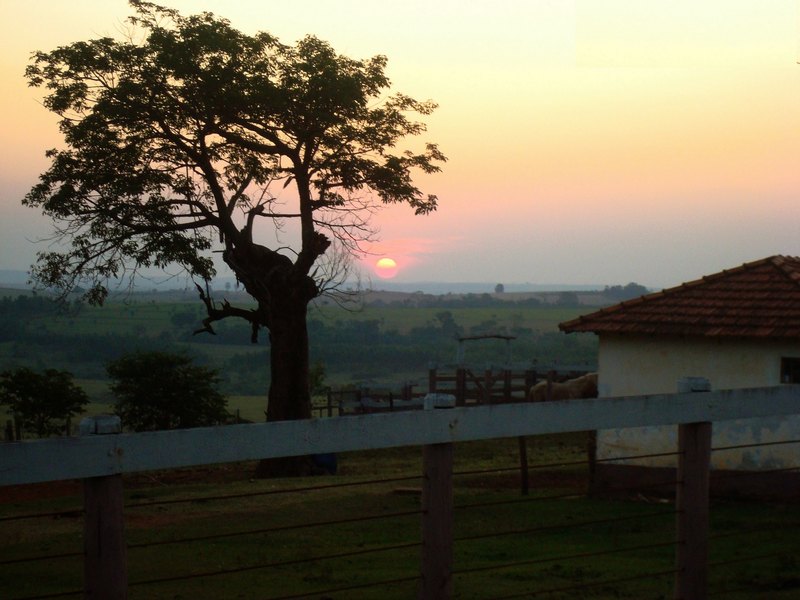 Brasil, SP, Guaranta, Fda Santa Adelaide,Sony