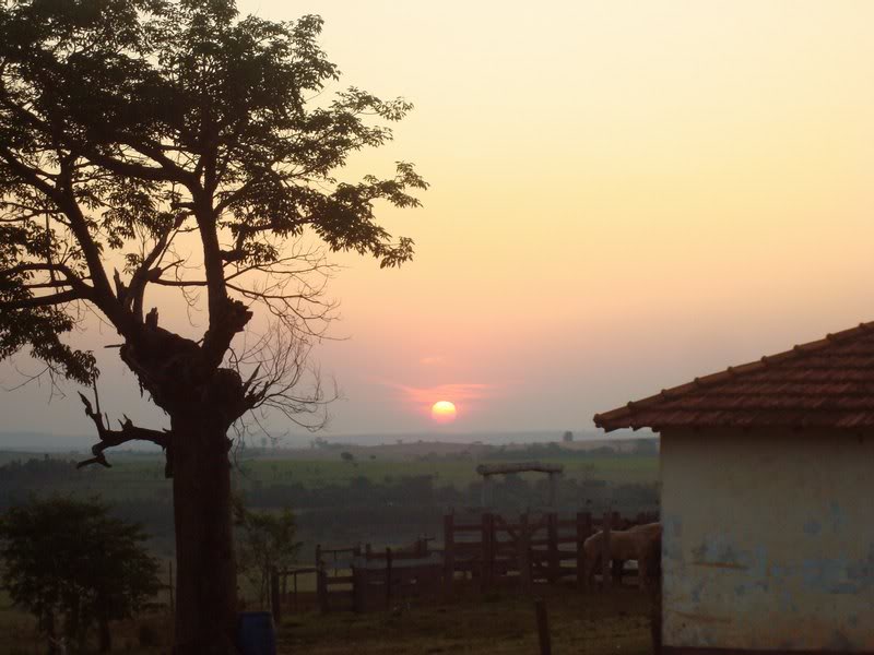 Brazil,SP,Bauru ,Guarata,Sta Adelaide Farm