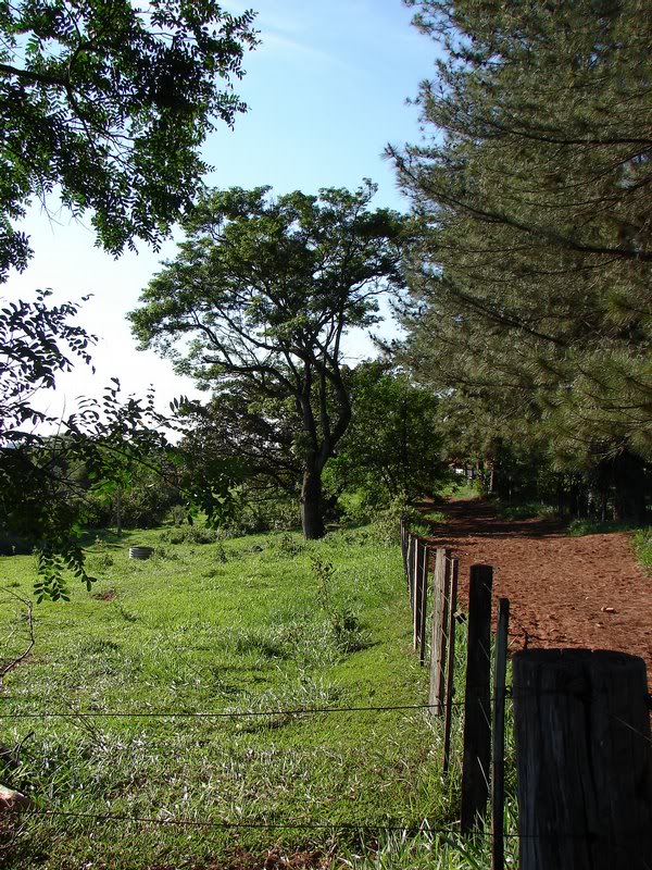 Sta Adelaide Farm, Guarant�,SP,Bra zil