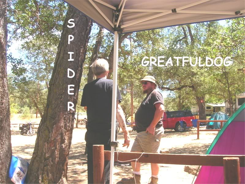 bob and grateful dog