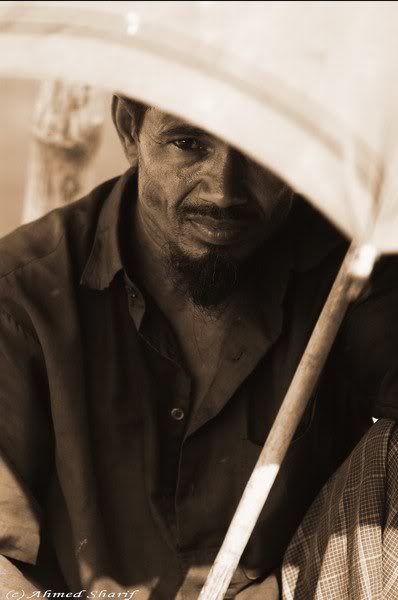 portrait....... .a05