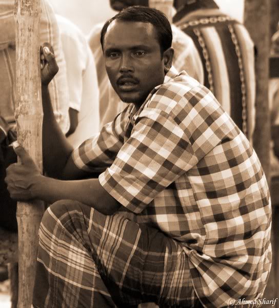 portrait....... ......07