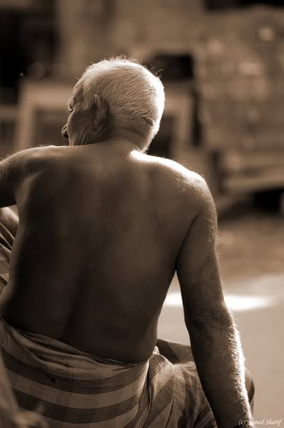 portrait....... ......09