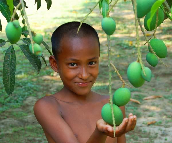 they are both green!!