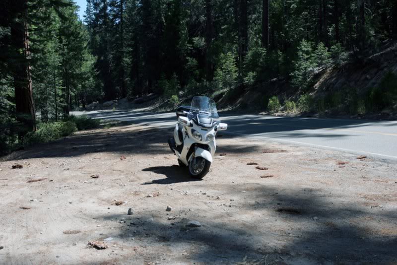 solo wentworth springs (23)