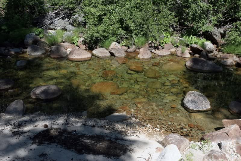 solo wentworth springs (33)