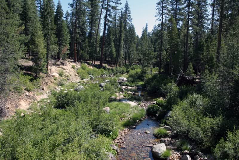 solo wentworth springs (36)