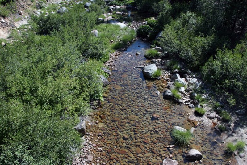 solo wentworth springs (37)