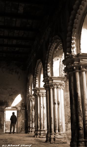 look back to see thy root.........