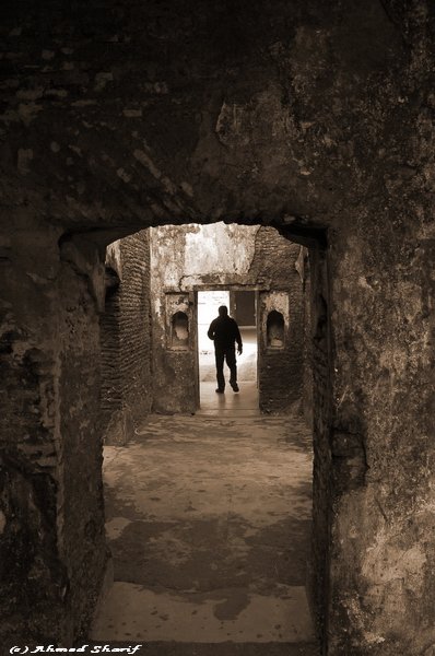 walking through history........ .