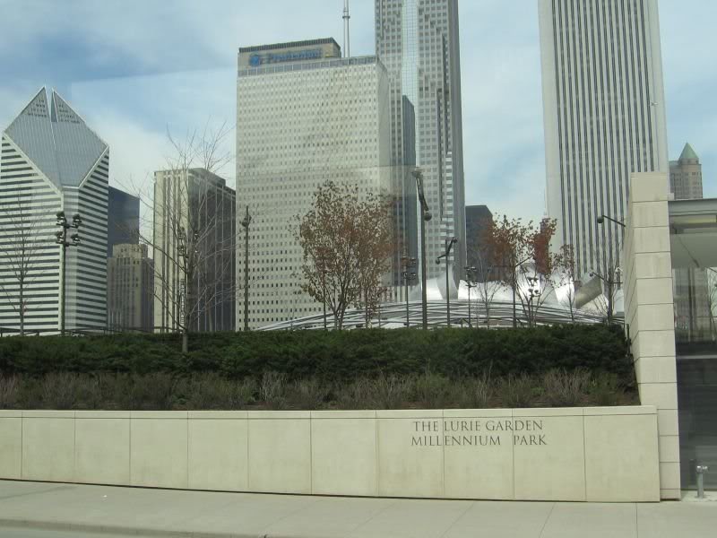 The Lurie Garden
