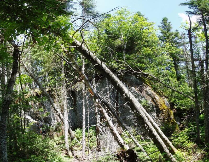 the summit rock of calamity pano